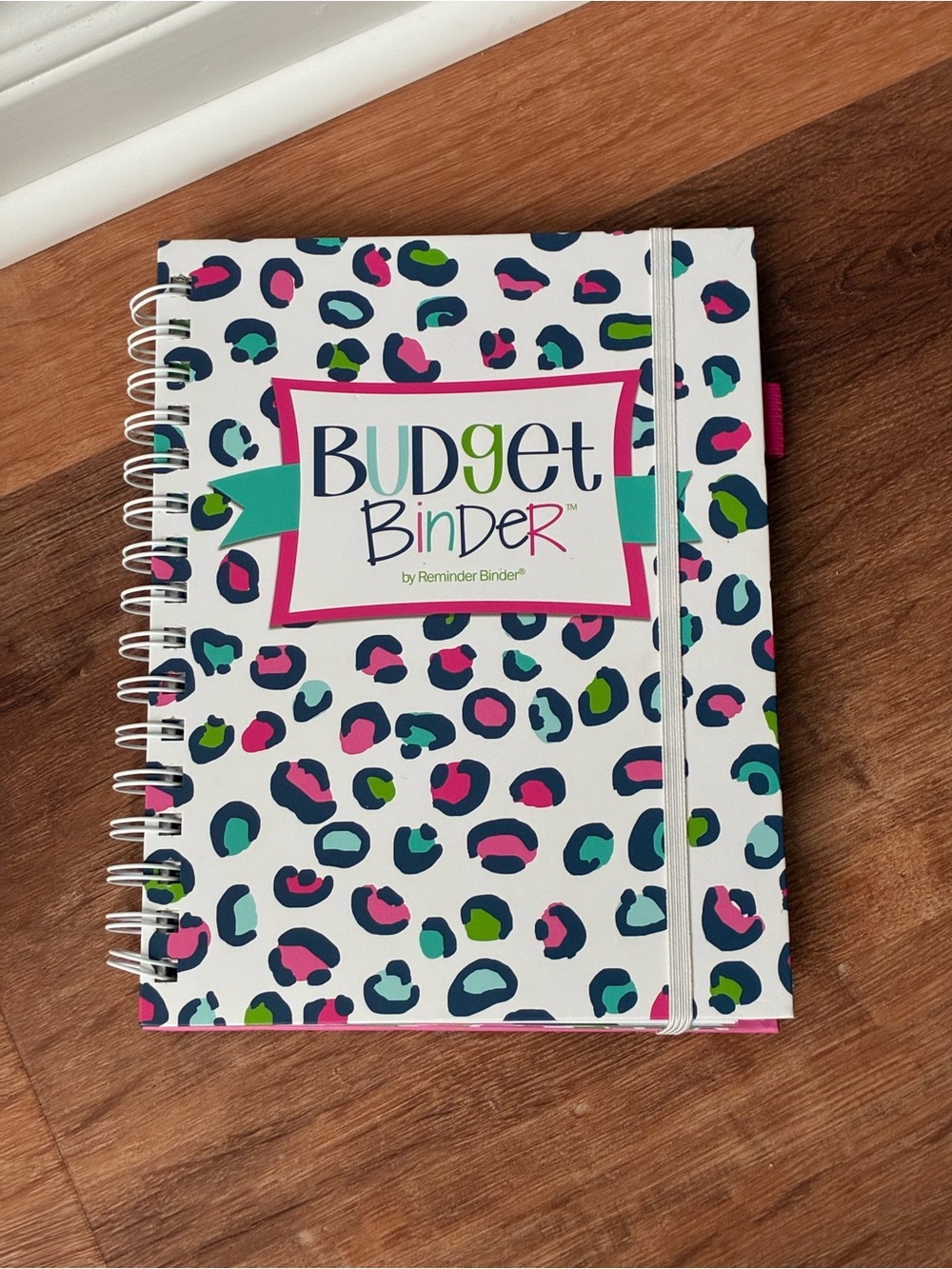 Denise Albright 12-Month Budget Planner, Bill & Expense Tracker, Undated, NWT